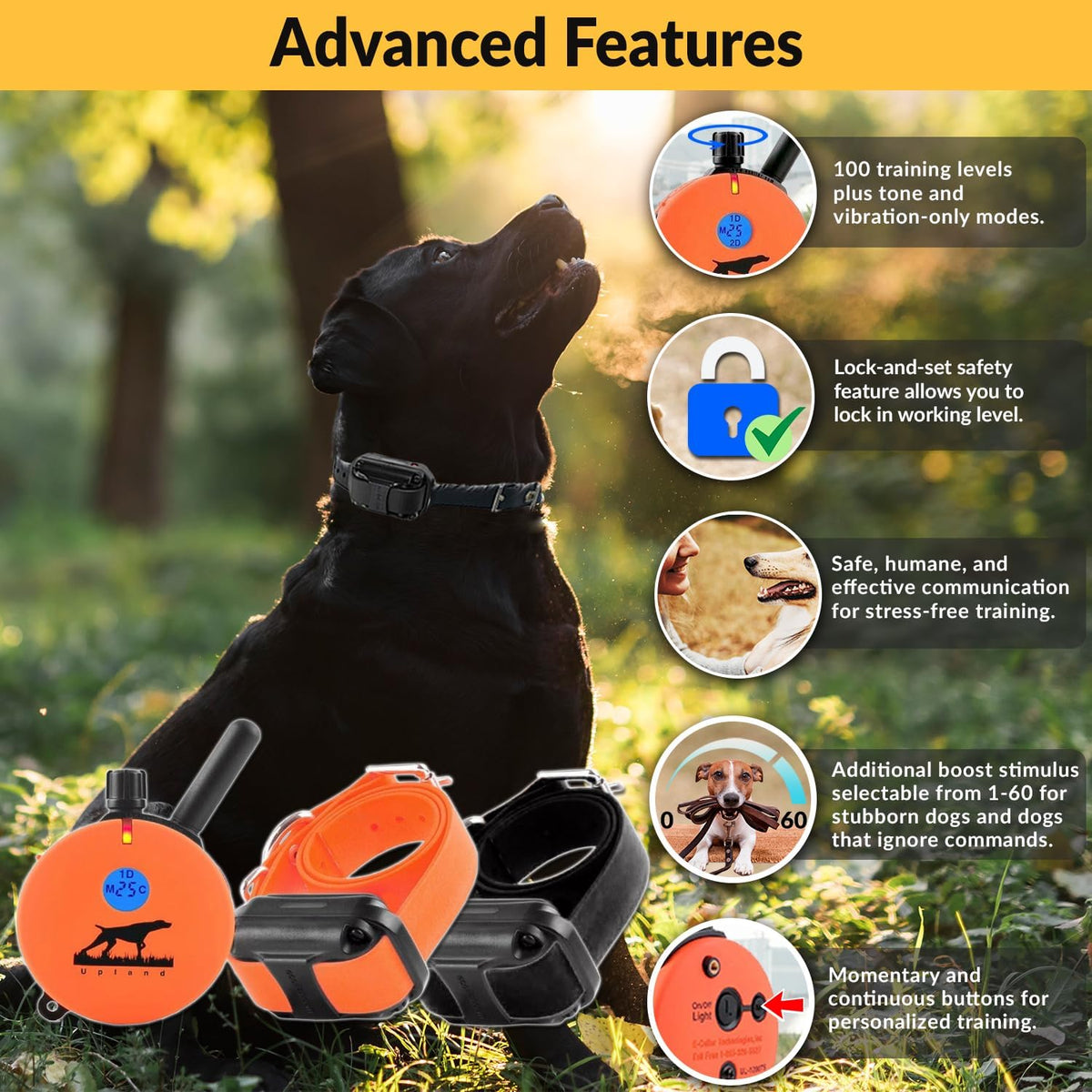 E-Collar  Upland Dog Training Collar, Orange, 2 Med/Large Dogs