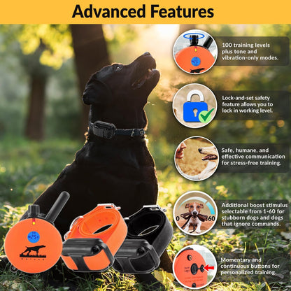 E-Collar  Upland Dog Training Collar, Orange, 2 Med/Large Dogs