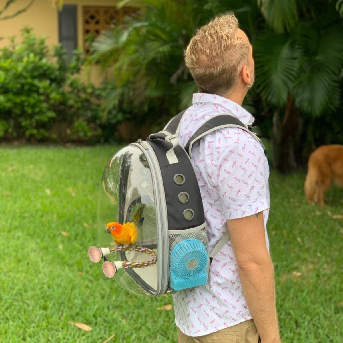 Clear Space Capsule Bird Travel Carrier Backpack - Perfect for Parakeets, Cockatiels, and Parrots with Metal Tray Feeder and Wood Perch