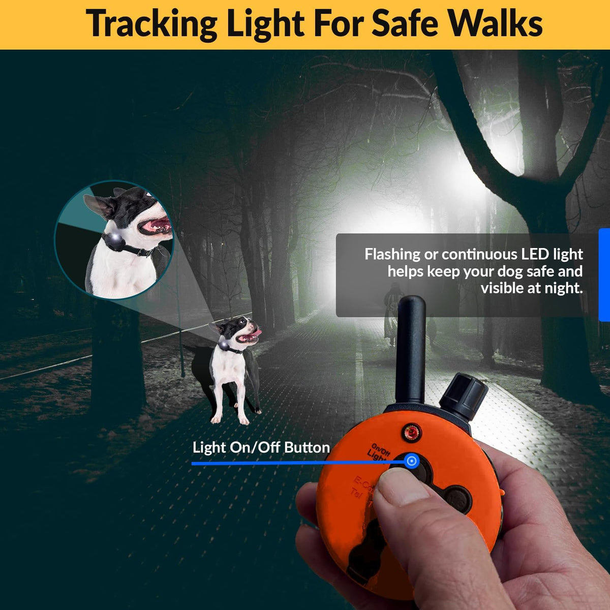 E-Collar  Upland Dog Training Collar, Orange, 2 Med/Large Dogs