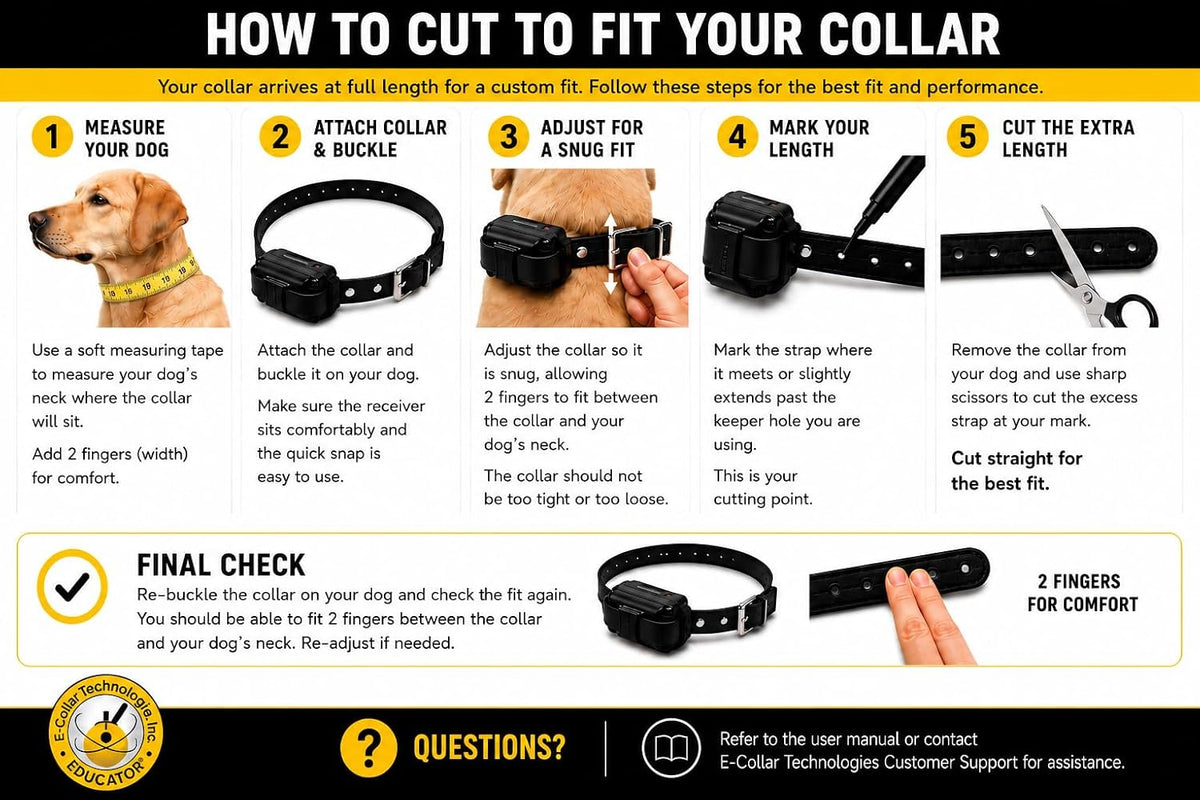 E-Collar  Upland Dog Training Collar, Orange, 2 Med/Large Dogs