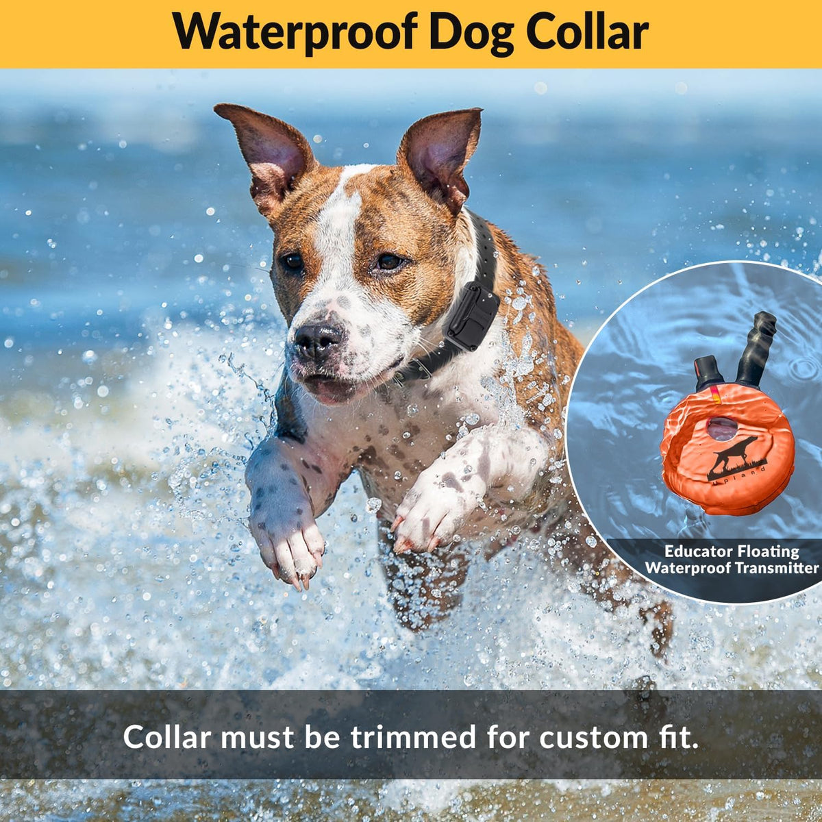 E-Collar  Upland Dog Training Collar, Orange, 2 Med/Large Dogs