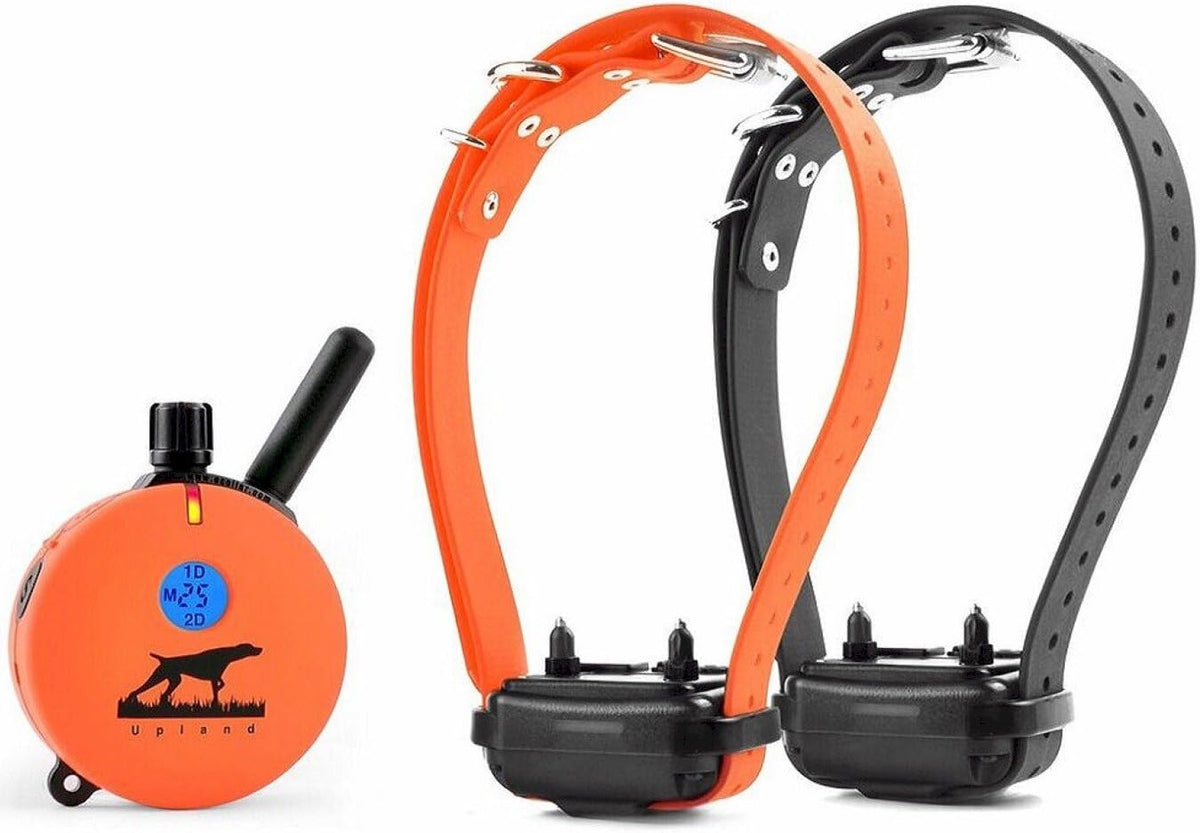 E-Collar  Upland Dog Training Collar, Orange, 2 Med/Large Dogs