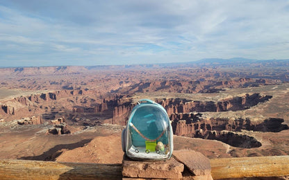 Clear Space Capsule Bird Travel Carrier Backpack - Perfect for Parakeets, Cockatiels, and Parrots with Metal Tray Feeder and Wood Perch
