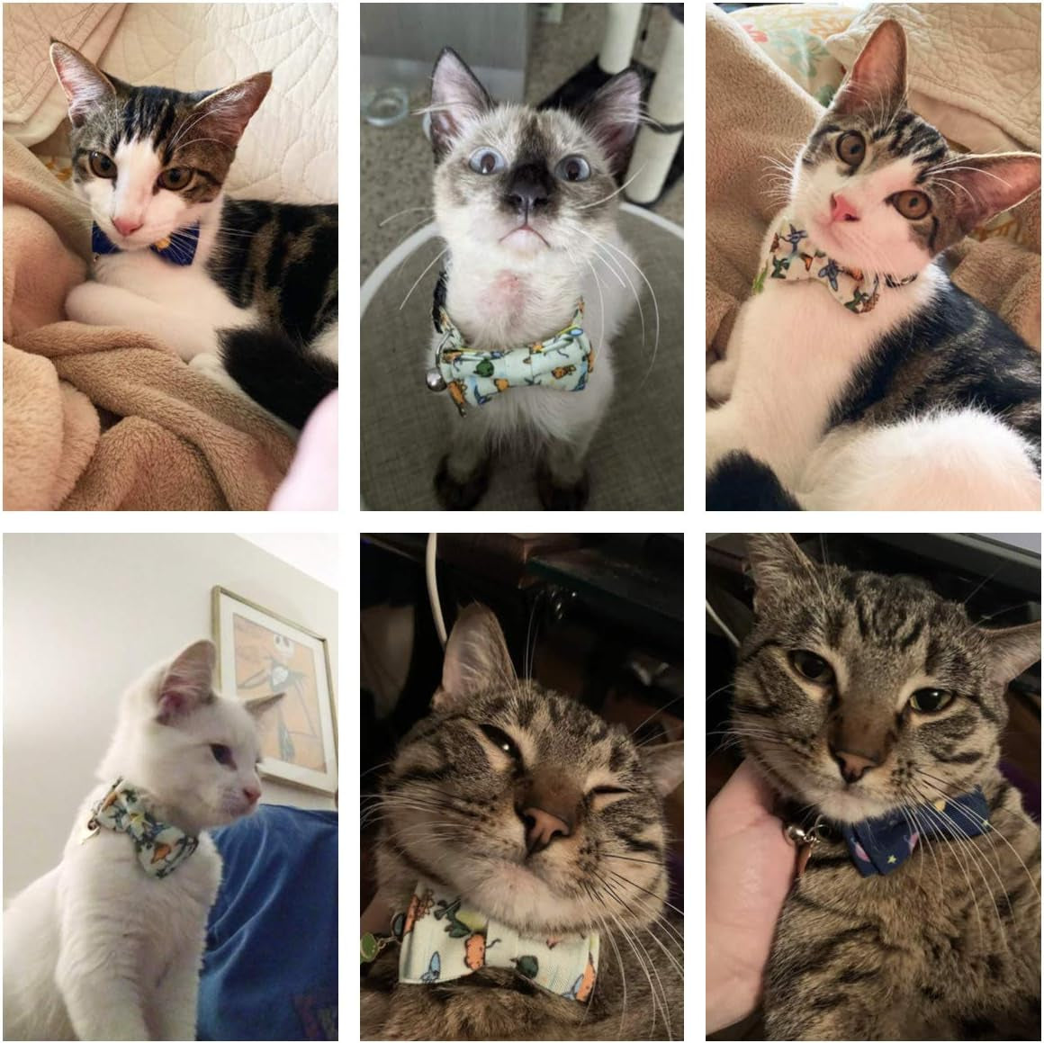 Dinosaur Cat Collar Set - Breakaway Design with Bow Tie and Bell - 2 Pack for Stylish Pets!