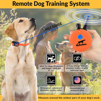 E-Collar  Upland Dog Training Collar, Orange, 2 Med/Large Dogs
